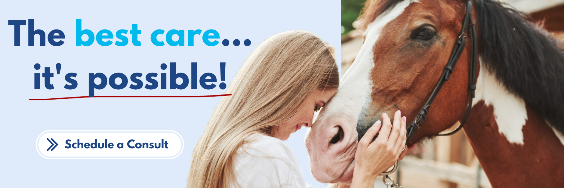 Best Care Possible for horses and pets