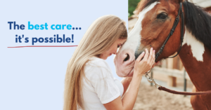 best care for animals - wise option