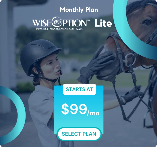 Wise Option Lite Plan